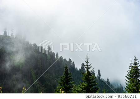 Caucasus mountain in georgian region Guria 93560711