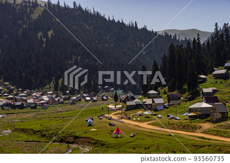Famous georgian mountain resort Bakhmaro 93560735