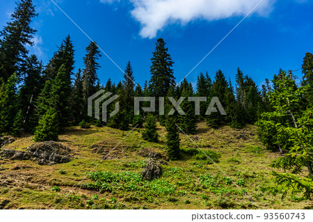 Caucasus mountain in Guria region of Georgia 93560743