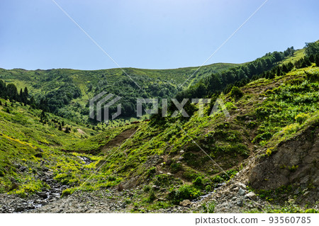 Caucasus mountain in georgian region Guria 93560785