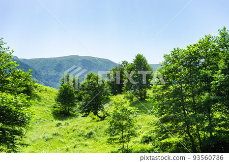 Caucasus mountain in georgian region Guria 93560786