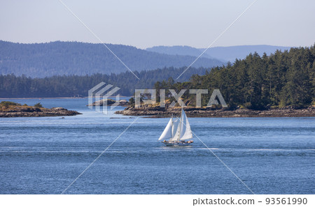 Sailboat in Canadian Landscape by the ocean and mountains 93561990