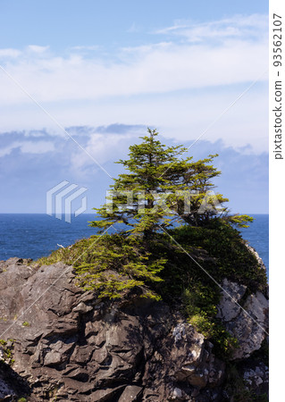 Rugged Rocks on a rocky shore on the West Coast of Pacific Ocean. 93562107