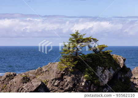 Rugged Rocks on a rocky shore on the West Coast of Pacific Ocean. 93562110
