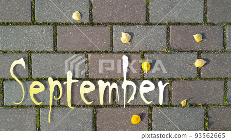Yellow and white inscription September on background of gray brick road with sprouted grass between it and yellow autumn leaves. Top view, flat lay Yellow and white inscription September on background of gray brick road with sprouted grass between it and yellow autumn leaves. Top view, flat lay 93562665