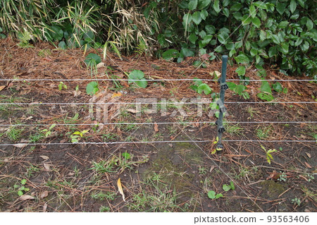 一個簡單的電圍欄的圖像 93563406