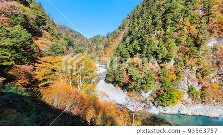 Kurobe Gorge (Autumn) Kurobe Gorge (Autumn) 93563757