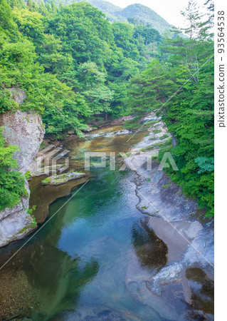 Fukiware Valley, view upstream from Fukiware Bridge, early summer scenery Fukiware Valley, view upstream from Fukiware Bridge, early summer scenery 93564538