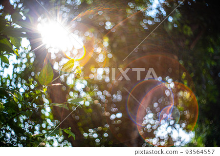 abstract blur green color for background,blurred and defocused effect spring concept for design,nature view of blurred greenery background in garden using as background natural,fresh wallpaper concept abstract blur green color for background,blurred and defocused effect spring concept for design,nature view of blurred greenery background in garden using as background natural,fresh wallpaper concept 93564557