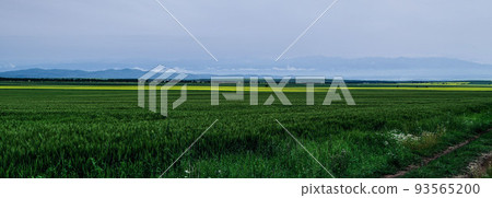 Scenery (Ili, China) 93565200