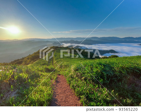 A sea of clouds and the sunrise over the Hiruzen Plateau as seen from Shimohiruzen in Okayama Prefecture A sea of clouds and the sunrise over the Hiruzen Plateau as seen from Shimohiruzen in Okayama Prefecture 93565220