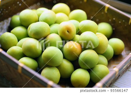 Plum fruit harvested in a bamboo strainer 93566147