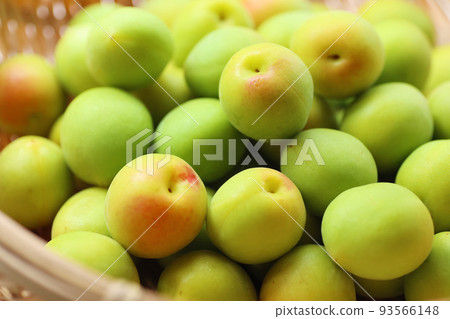Plum fruit harvested in a bamboo strainer 93566148