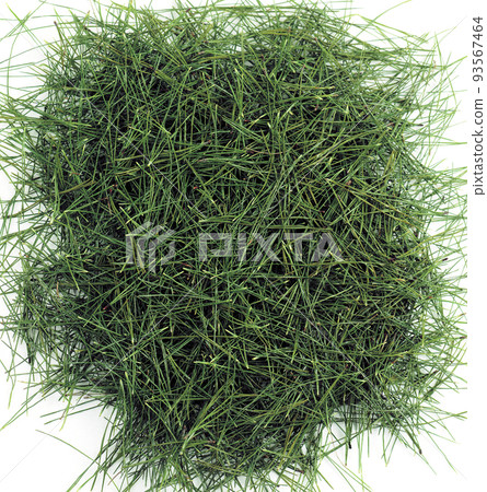 松針 松針 93567464