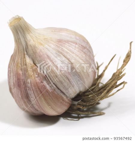 大蒜 大蒜 93567492