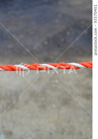 Since the ground is still hot after the fire, red and white ropes are attached to the grounds of the shrine to prevent entry: Omiya Hachimangu Shrine 93570401