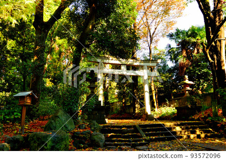 代代木八幡宮轄區深秋景色 代代木八幡宮轄區深秋景色 93572096