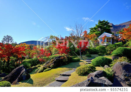 Hakone Museum Autumn Leaves Hakone Museum Autumn Leaves 93574231