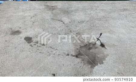 Ink mark of bigfin reef squid Ink mark of bigfin reef squid 93574910