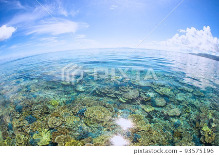 Miraculous moment Miraculous moment 93575196