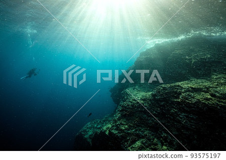 divers are cool divers are cool 93575197