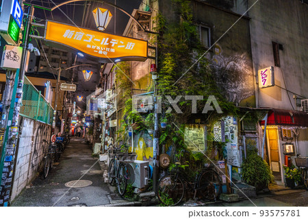 日本東京城市景觀 從歌舞伎町/花園 Koban Dori 看金蓋 日本東京城市景觀 從歌舞伎町/花園 Koban Dori 看金蓋 93575781