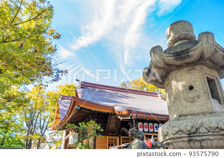 青龍神社浦安三社櫸樹燈籠 93575790