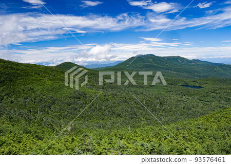 North Yatsugatake in summer, view from the summit of "Nyu", overlooking Shirakoma Pond 93576461