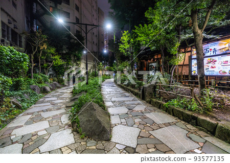 The cityscape of Tokyo in Japan, with a view of the promenade and Shiki no Michi that connects Kabukicho, the downtown area, Shinjuku Golden Gai, etc. 93577135