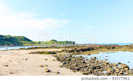湘南 湘南 93577961