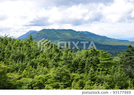 Kita Yatsugatake in summer View from the summit of "Takamiishi" View of the mountains of Kita Yatsugatake 93577989