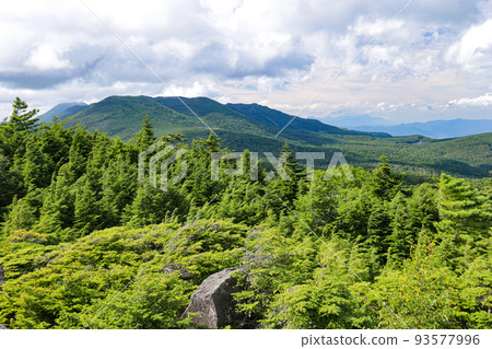 夏季的北八岳從“高神石”山頂眺望北八岳的群山和雨池 93577996