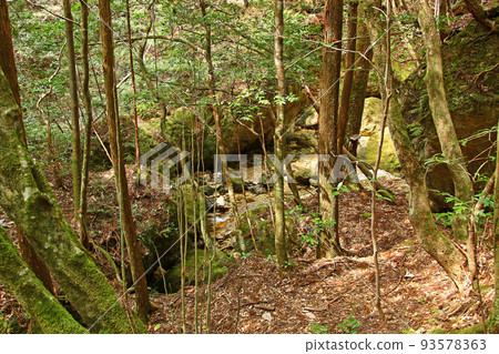 愛知縣新城市千巖峽徒步路線的風景 93578363