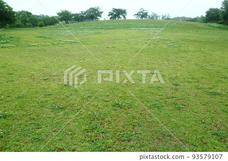 鮮味山坡公園廣場 鮮味山坡公園廣場 93579107
