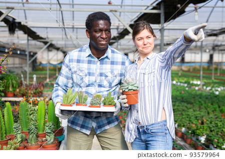 African american farmer with cacti discussing something with a female colleague African american farmer with cacti discussing something with a female colleague 93579964