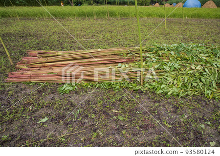 Red Green Raw Jute stacked on Field 93580124
