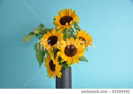 花瓶裡的迷你向日葵在夏天發光 花瓶裡的迷你向日葵在夏天發光 93580492