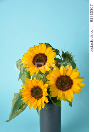 Mini sunflowers in a vase that shines in summer Mini sunflowers in a vase that shines in summer 93580507