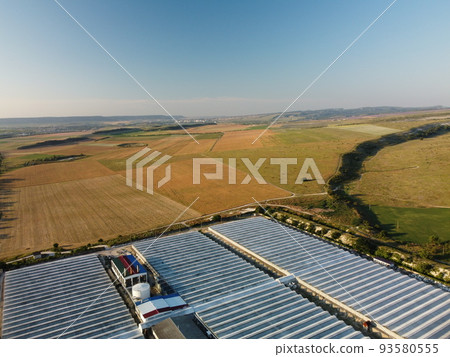 Aerial drone view of huge areas glass greenhouse for growing vegetables. Greenhouse farming, agriculture industry. Flying over large industrial greenhouses at sunset. Aerial drone view of huge areas glass greenhouse for growing vegetables. Greenhouse farming, agriculture industry. Flying over large industrial greenhouses at sunset. 93580555