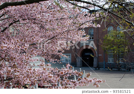 Cherry blossoms blooming against the background of old overseas buildings Cherry blossoms blooming against the background of old overseas buildings 93581521