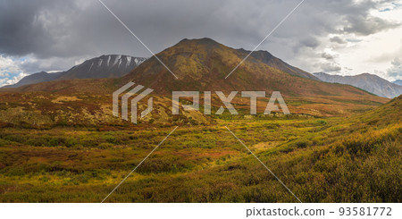 Dramatic rainy alpine landscape with autumn golden valley and dark sharp pinnacle in low clouds. Rocks in overcast weather. Atmospheric awesome view to pointy mountain in low clouds. Dramatic rainy alpine landscape with autumn golden valley and dark sharp pinnacle in low clouds. Rocks in overcast weather. Atmospheric awesome view to pointy mountain in low clouds. 93581772