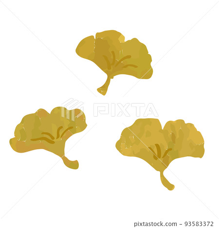 沒有輪廓的銀杏葉插圖 沒有輪廓的銀杏葉插圖 93583372