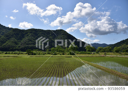藍天和國家風景 藍天和國家風景 93586059