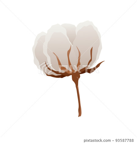 Cotton flower icon. Soft white plant for production of organic fabric. Cartoon eco friendly and organic symbol 93587788