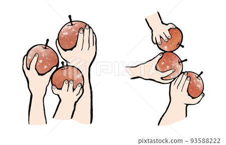 Hand holding an apple / Hand holding an apple together 93588222