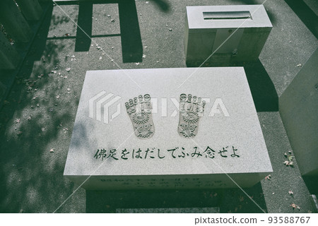 Inuyama Jakko-in Autumn Stroll 93588767