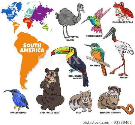 educational illustration of cartoon South American animals set 93589465