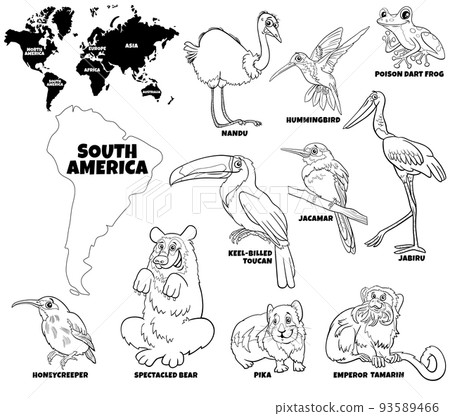 cartoon South American animal species set coloring page cartoon South American animal species set coloring page 93589466