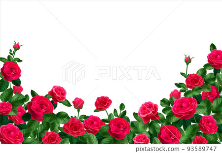 Rose Bush Frame Composition 93589747