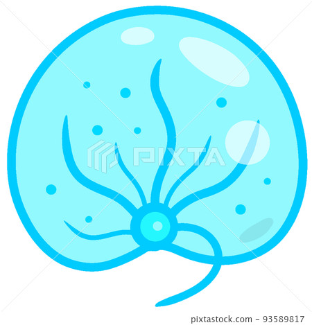 Late night insect 93589817